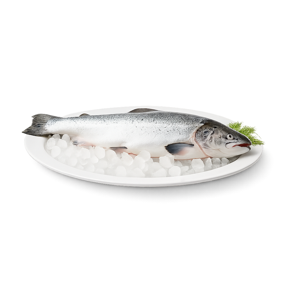 Fish