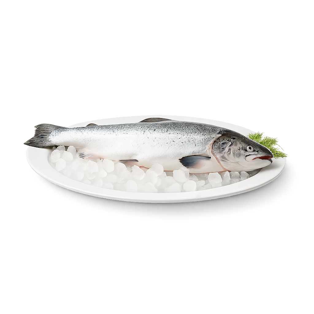 Fish & seafood